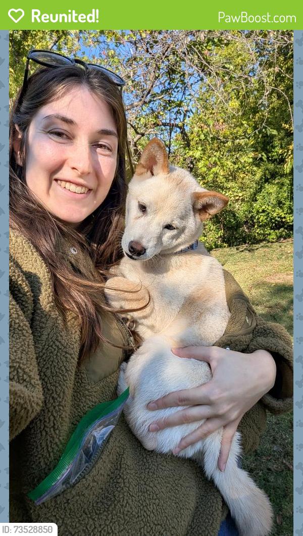 Reunited Male Dog last seen 51st and Sheridan, Tulsa, OK 74145