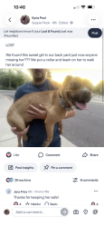 Found/Stray Female Dog last seen Encantado and Tramway, Albuquerque, NM 87123
