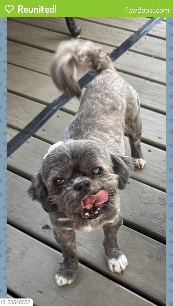 Reunited Female Dog last seen Hurstview and Cimarron, Hurst, TX 76054