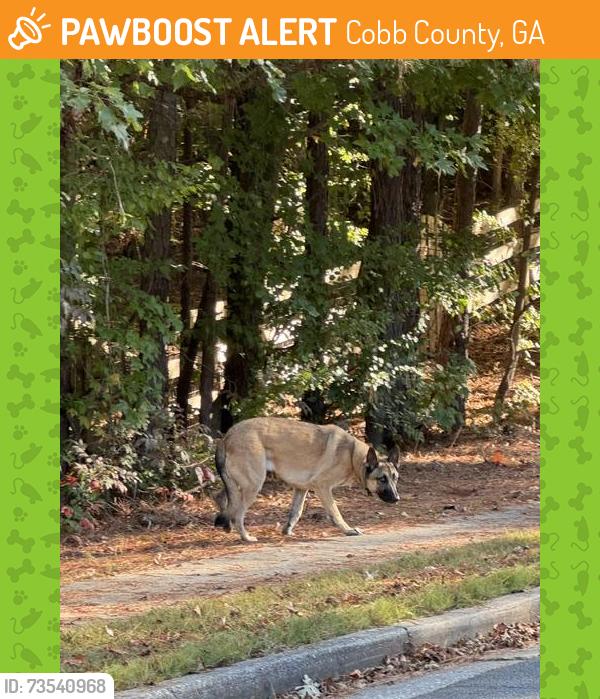 Found/Stray Unknown Dog last seen Fernstone Dr Acworth Ga ,near the lake inThe Links @ Brookstone, Cobb County, GA 30101