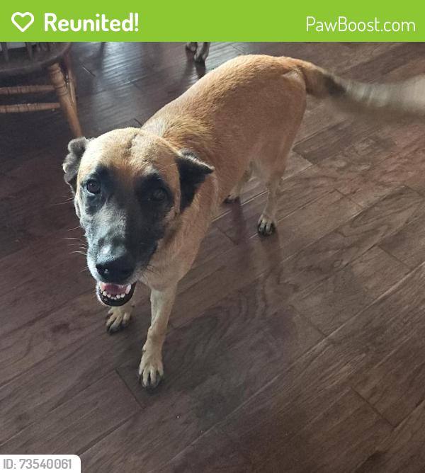 Reunited Male Dog last seen 200th SW and County Line Road, Rose Hill, KS 67133