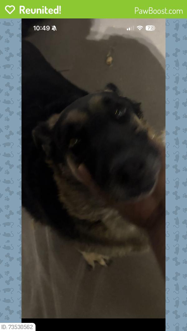 Reunited Unknown Dog last seen Gentrytown, Antioch, CA 94509