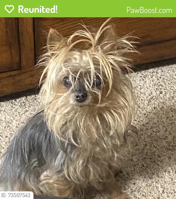 Reunited Female Dog last seen 36th and council, Bethany, OK 73008
