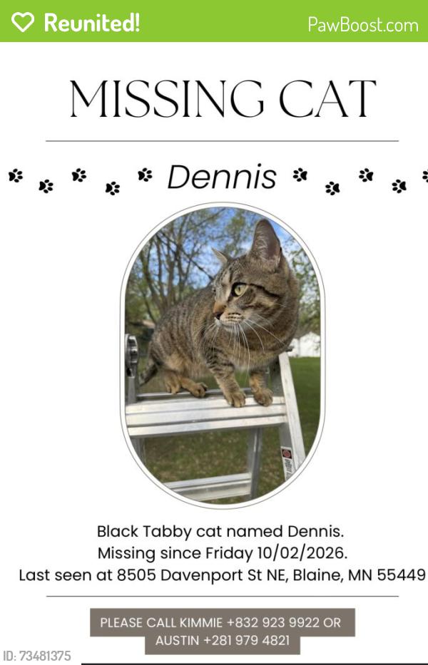 Reunited Male Cat last seen Davenport and 87th, Blaine, MN 55449