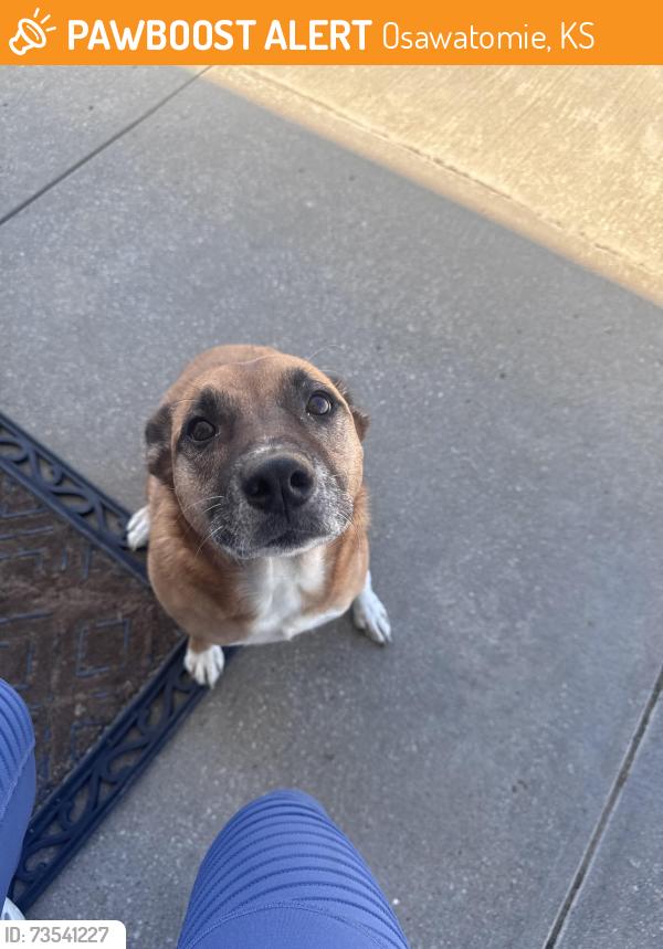 Found/Stray Female Dog last seen Paola Farms, Osawatomie, KS 66064