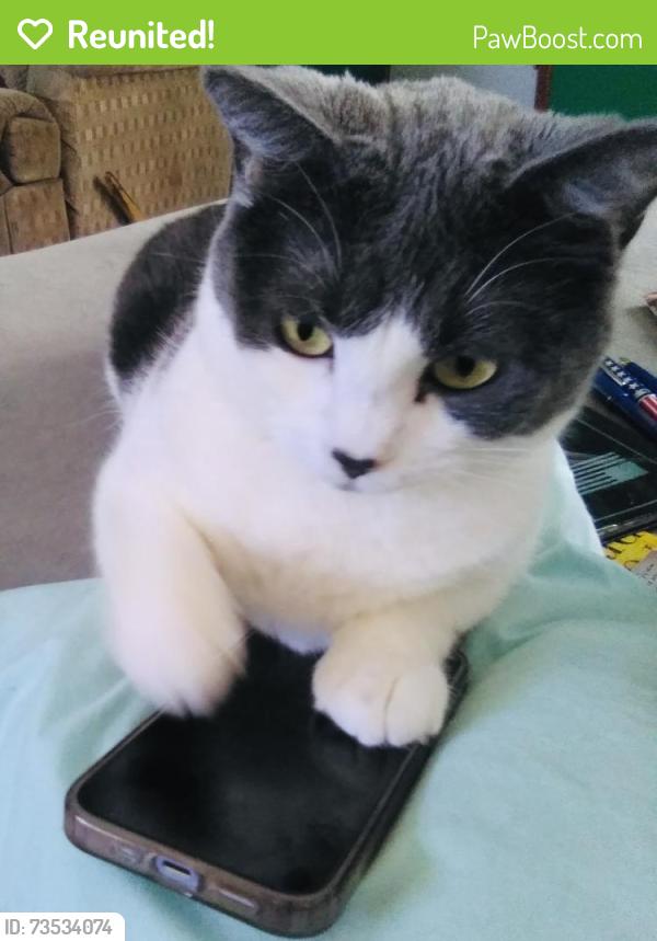Reunited Female Cat last seen Starlite ests, Sioux Falls, SD 57104