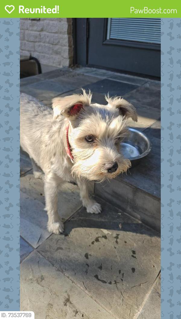 Reunited Female Dog last seen Kaiser Dr, Austin TX, Austin, TX 78748