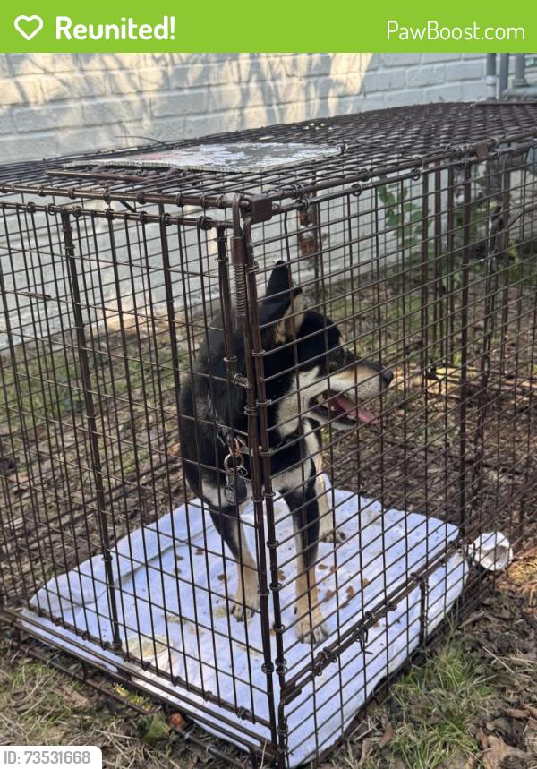 Reunited Male Dog last seen NW 22nd between Pennsylvania and Virginia Ave, Oklahoma City, OK 73106