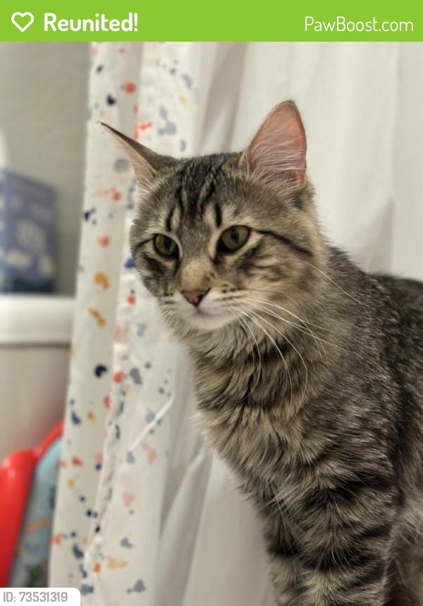 Reunited Male Cat last seen 20th st and 10th ave, Greeley, CO 80631