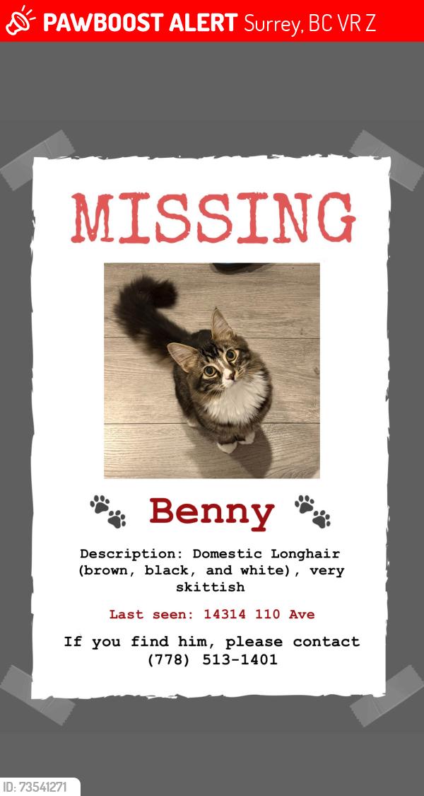 Lost Male Cat last seen Near 110 Avenue, Surrey, BC V3R 1Z9