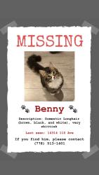 Lost Male Cat last seen Near 110 Avenue, Surrey, BC V3R 1Z9