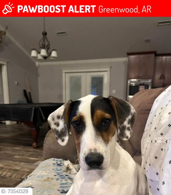 Lost Male Dog last seen Near Bulldog Loop, Greenwood, AR 72936, Greenwood, AR 72936