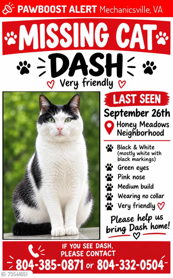 Lost Male Cat last seen Honey Meadows neighborhood at Meadow Pond Drive, Mechanicsville, VA 23116