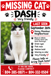 Lost Male Cat last seen Honey Meadows neighborhood at Meadow Pond Drive, Mechanicsville, VA 23116