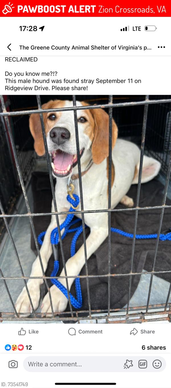 Lost Male Dog last seen West green springs rd Gordonsville va, Zion Crossroads, VA 22942