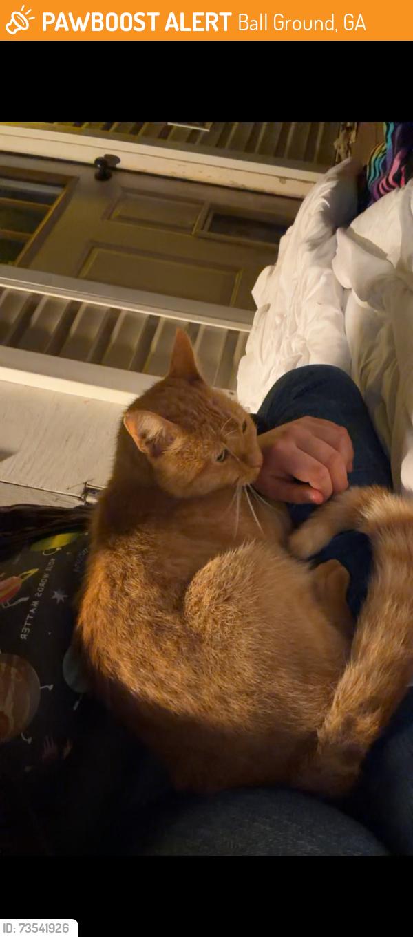 Found/Stray Male Cat last seen Ball Ground Hwy and Dogwood Drive, Ball Ground, GA 30107