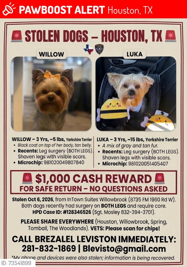 Lost Unknown Dog last seen Inntownsuites Willowbrook, Houston, TX 77070