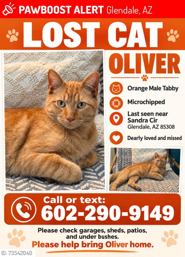 Lost Male Cat last seen 43rd Ave & Bell Rd, Glendale, AZ 85308