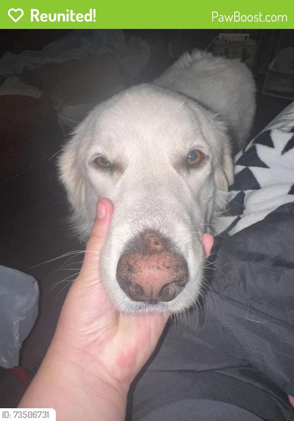 Reunited Female Dog last seen Near nw 50th street, Warr Acres, OK 73122