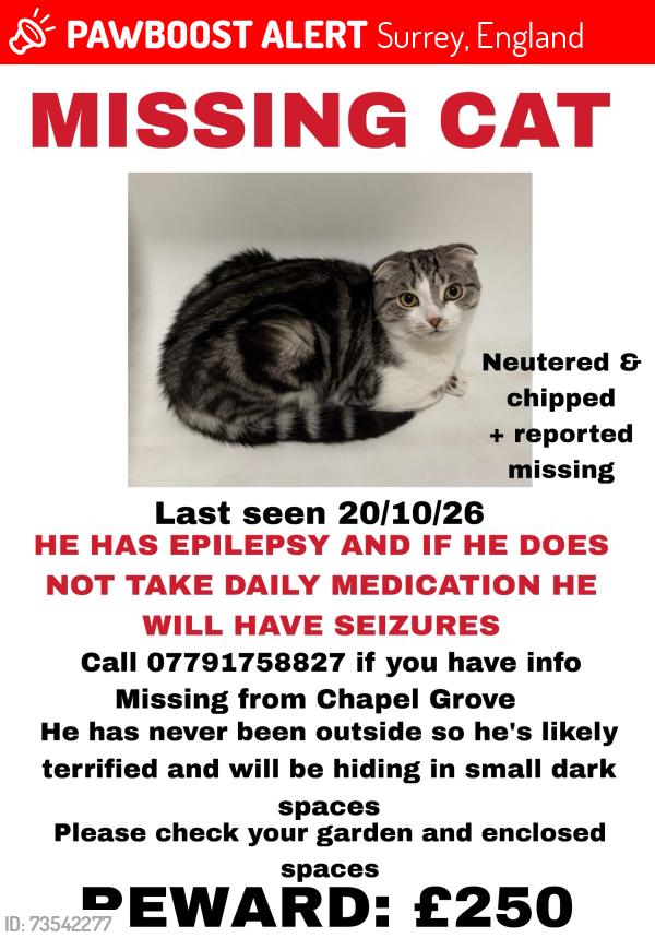 Lost Male Cat last seen Epsom downs primary, Surrey, England 