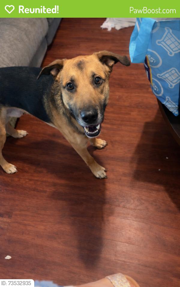 Reunited Male Dog last seen whitehall elementary school, Anderson, SC 29622