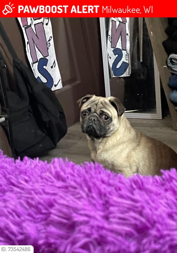 Lost Male Dog last seen Near s 15th Pl, Milwaukee, WI 53215
