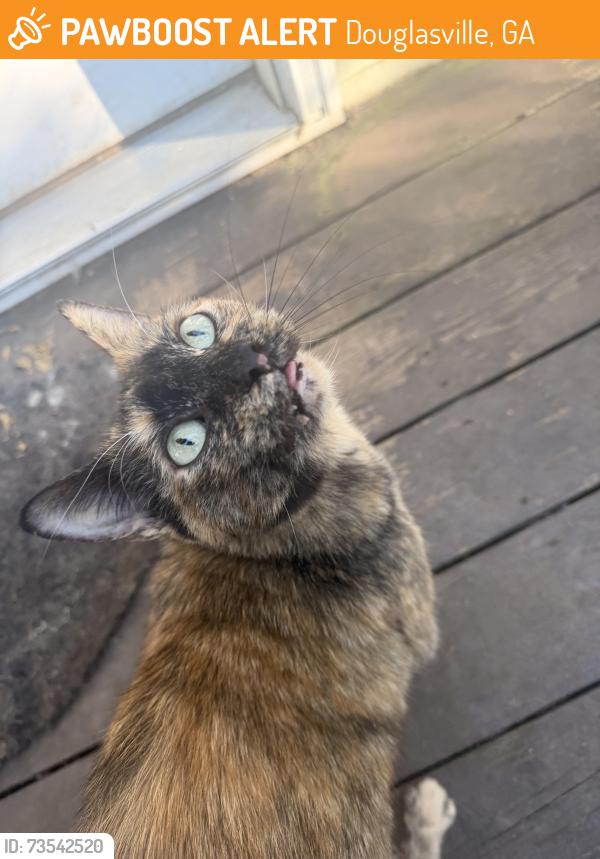 Found/Stray Female Cat last seen Near Dallas highway in the golden valley community, Douglasville, GA 30134