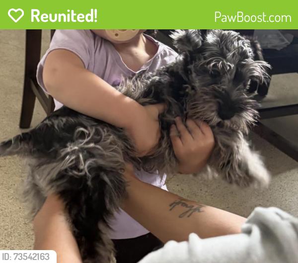 Reunited Female Dog last seen Dobbins and Lake Ave, West Palm Beach, FL 33405
