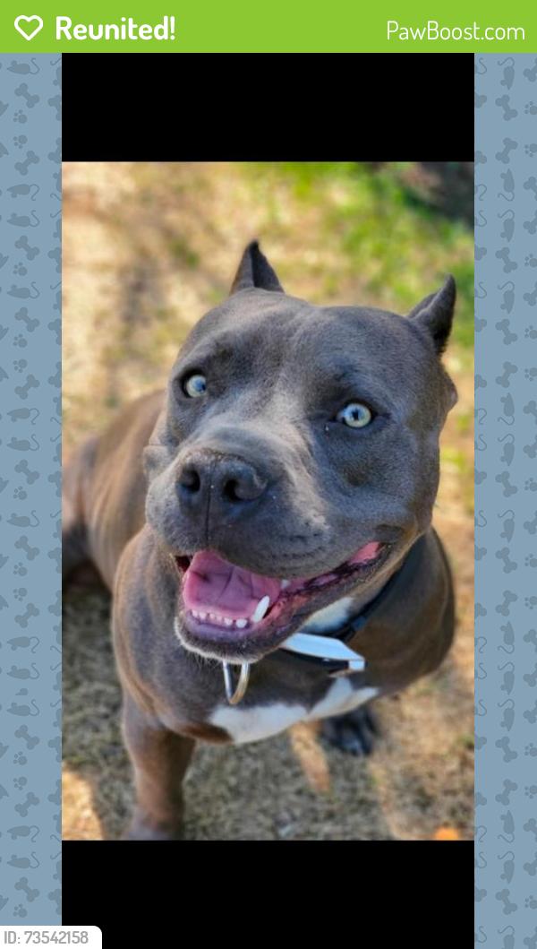 Reunited Male Dog last seen Caldwell and west, Visalia, CA 93277