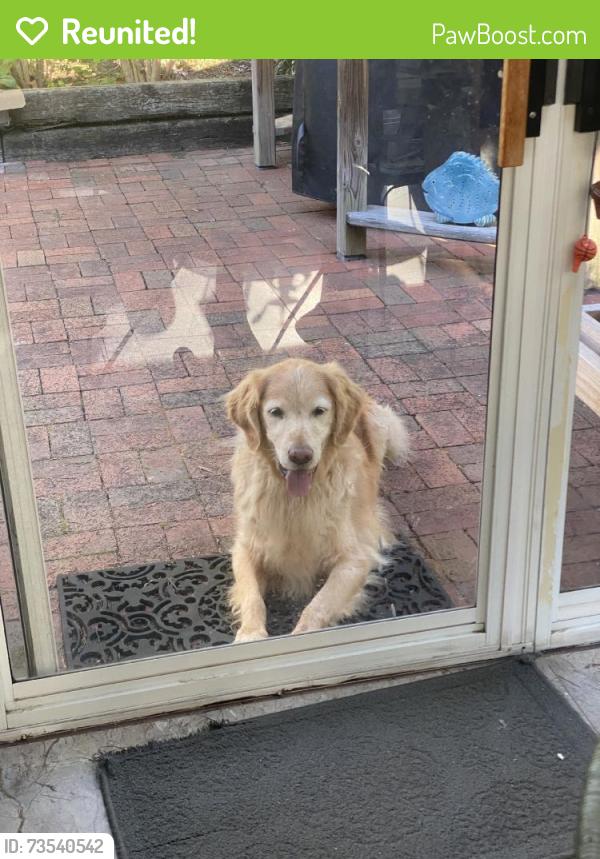 Reunited Unknown Dog last seen West Hills, Knoxville, TN 37909, USA, Knoxville, TN 37909