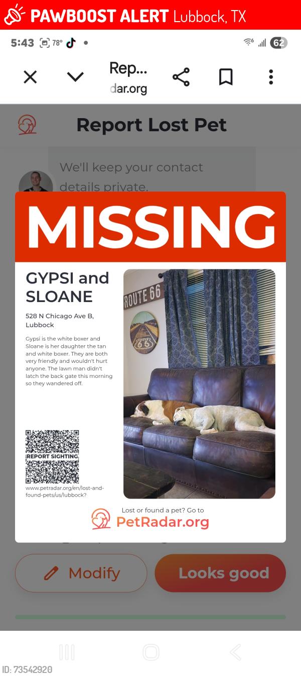 Lost Female Dog last seen N. Chicago and Emory, Lubbock, TX 79416