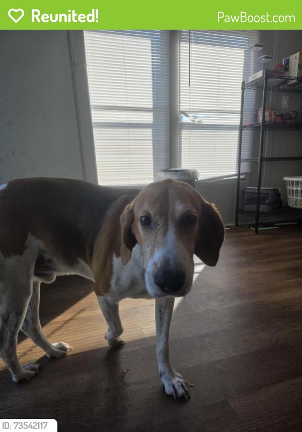 Reunited Male Dog last seen Catherine Lake, Richlands, NC 28574