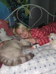 Lost Male Cat last seen Wyatt, Broadview Heights, OH 44147