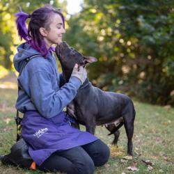 Shelter Stray Female Dog last seen Near STONE STREET, 30058, GA, 3280 Chamblee Dunwoody Rd, Chamblee, GA 30341, USA
