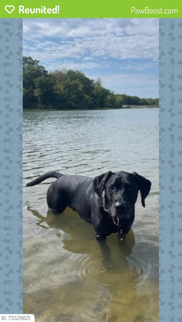 Reunited Male Dog last seen 4th ST and Ritchards ST, Douglas, WY 82633