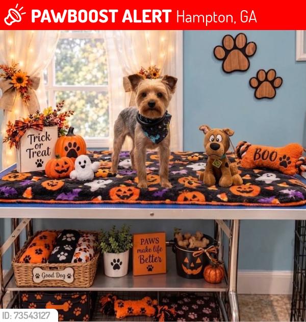 Lost Male Dog last seen Panhandle, Hampton, GA 30228