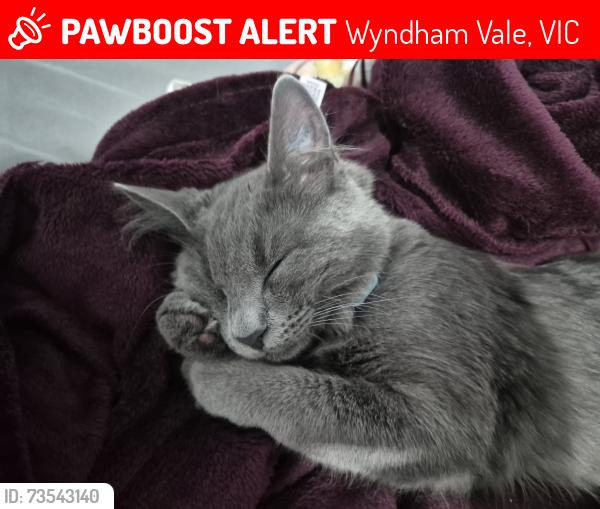 Lost Male Cat last seen Near Black Forest Road, Wyndham Vale, VIC 3024