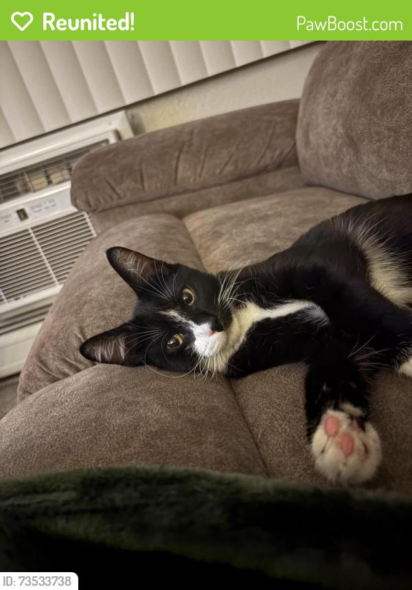 Reunited Male Cat last seen E Hampden Ave, Denver, CO 80237