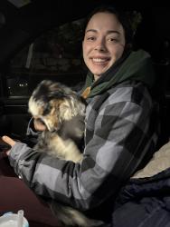 Reunited Female Dog last seen Rose summit drive and rolling brook drive, Herriman, UT 84096