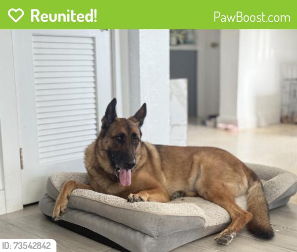 Reunited Male Dog last seen North Miami, FL, USA, North Miami, FL 33161