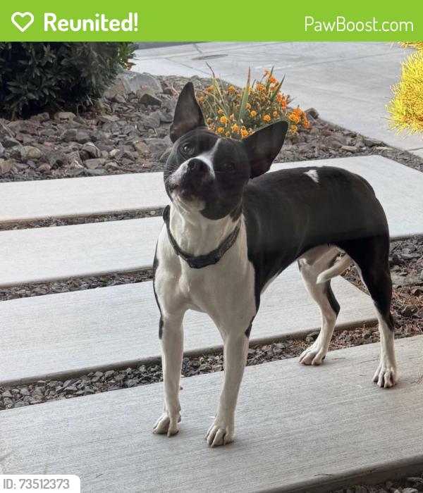 Reunited Male Dog last seen Castlevale Rd and Fechter Rd, Yakima, WA 98908