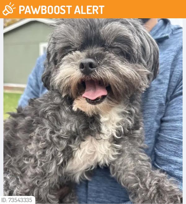Found/Stray Male Dog last seen Quacker and My Vernon, West Pleasant View, CO 80401
