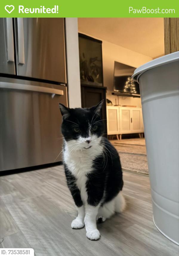Reunited Female Cat last seen Division st e all the way at the end, Buffalo, MN 55313