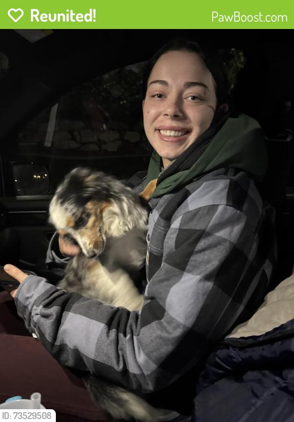 Reunited Female Dog last seen Rose summit drive and rolling brook drive, Herriman, UT 84096