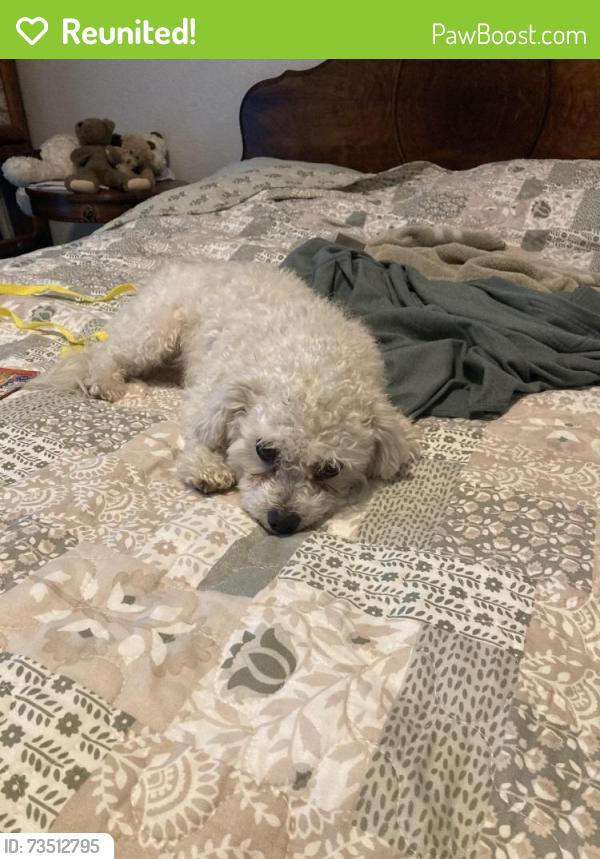 Reunited Male Dog last seen North Shenandoah street, Greeley, Weld County, CO 80634