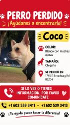 Reunited Male Dog last seen Broadway and hall, Mesa, AZ 85204