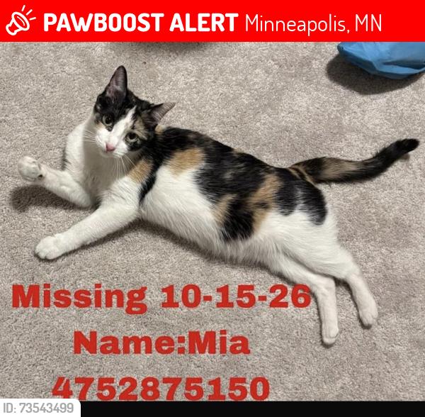 Lost Female Cat last seen Near Portland Ave 55407, Minneapolis, MN 55407
