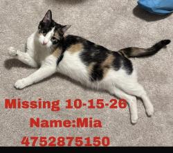 Lost Female Cat last seen Near Portland Ave 55407, Minneapolis, MN 55407