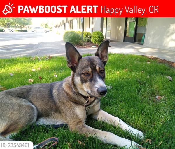 Lost Female Dog last seen 82nd Ave, Happy Valley, OR 97086