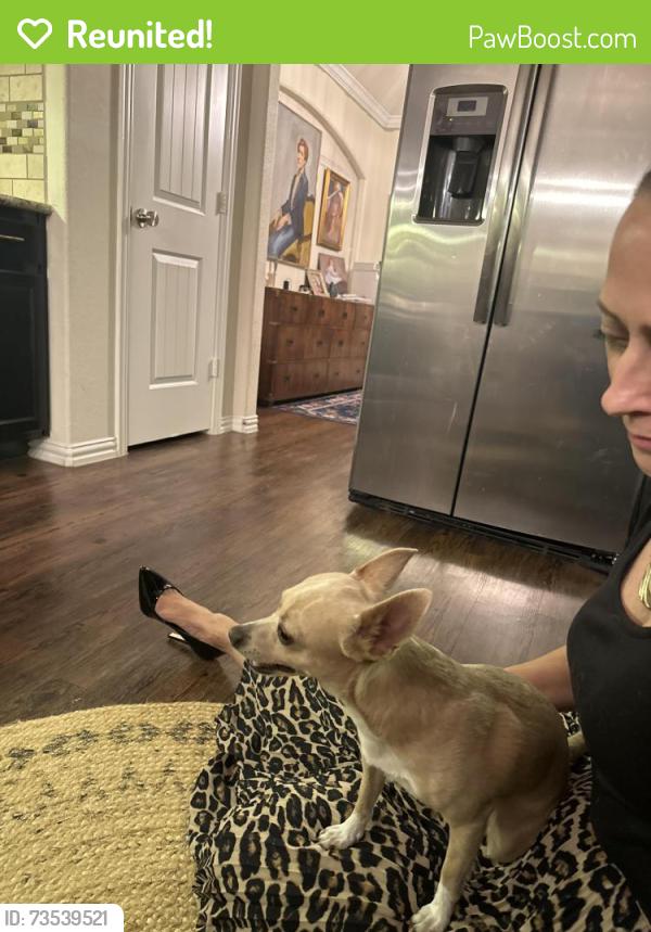 Reunited Male Dog last seen Sundown Peak Ct and Upper Ridge Ln, Humble, TX 77346